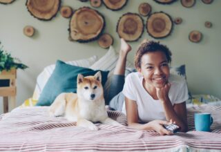 Viata cu animale de companie la bloc – ce trebuie sa stii ca sa eviti conflictele si surprizele neplacute