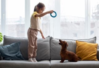 Cele mai potrivite rase de caini pentru familiile cu copii care locuiesc la bloc