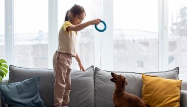 Cele mai potrivite rase de caini pentru familiile cu copii care locuiesc la bloc