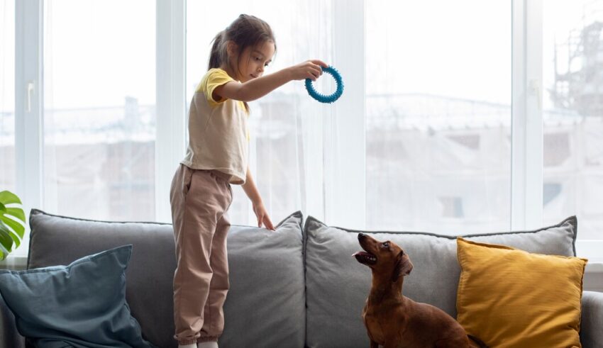 Cele mai potrivite rase de caini pentru familiile cu copii care locuiesc la bloc