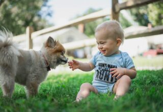 Interactiunea cu animalele creste empatia rapid