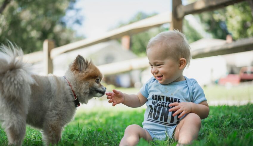 Interactiunea cu animalele creste empatia rapid