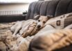 Cum creezi un living confortabil pentru intreaga familie, inclusiv pentru animalele de companie